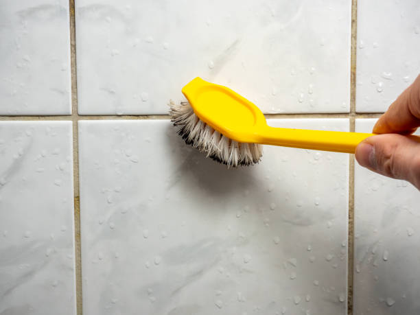 Best Mold Remediation  in Hillsboro, MO