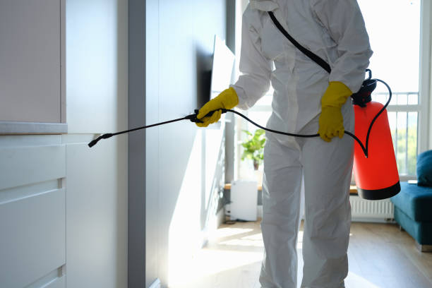 Best Office Mold Removal Services  in Hillsboro, MO