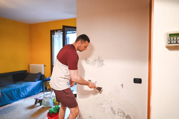 Best Attic Mold Removal  in Hillsboro, MO